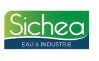 Logo 31